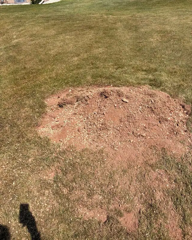 A lawn with a neat patch of soil where a stump was ground out