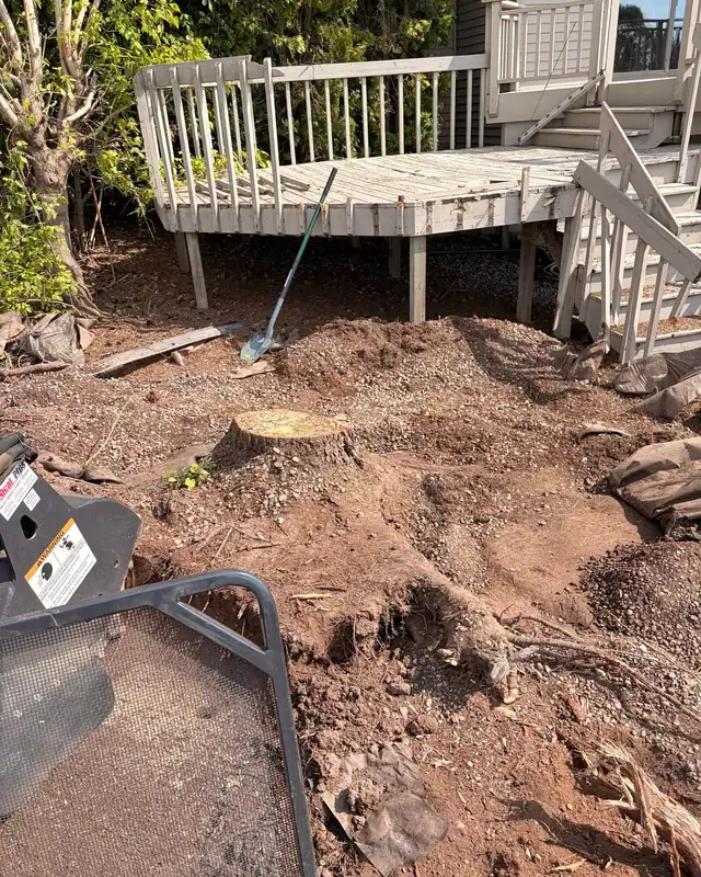 A stump in the dirt next to a raised deck, seen from the loader