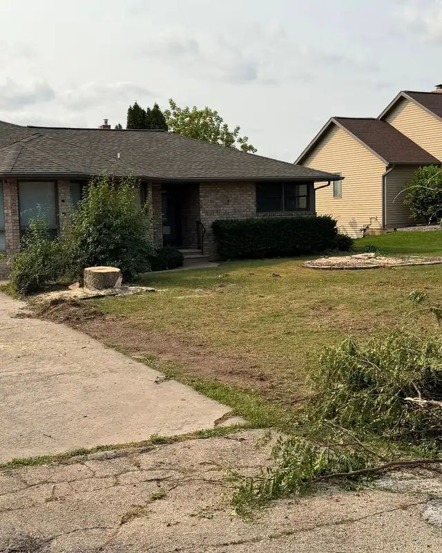 A tall stump at the edge of a driveway with cut brush nearby