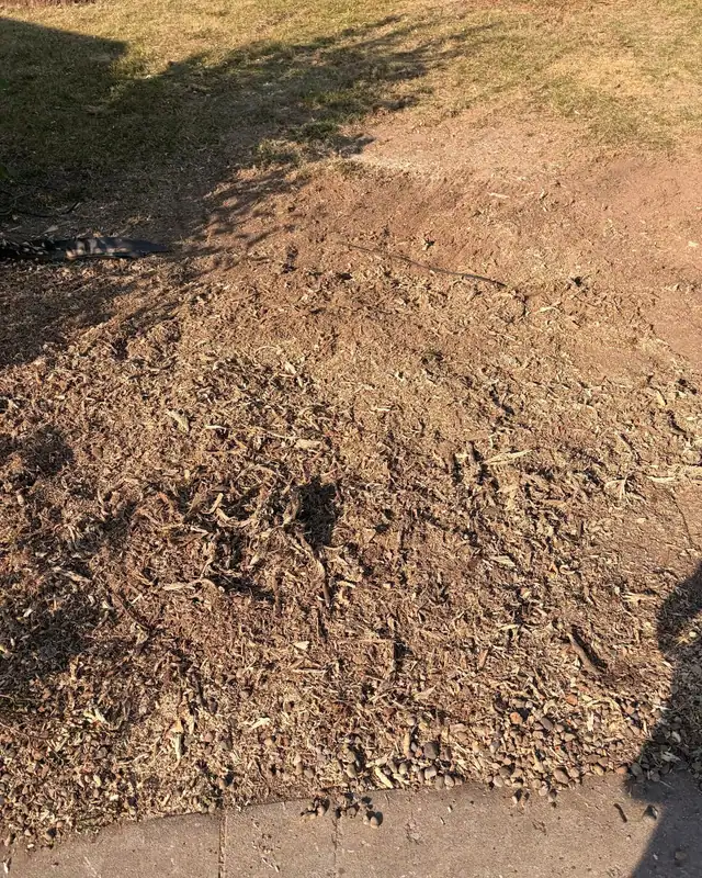 Ground flat area of fine chips beside a walkway