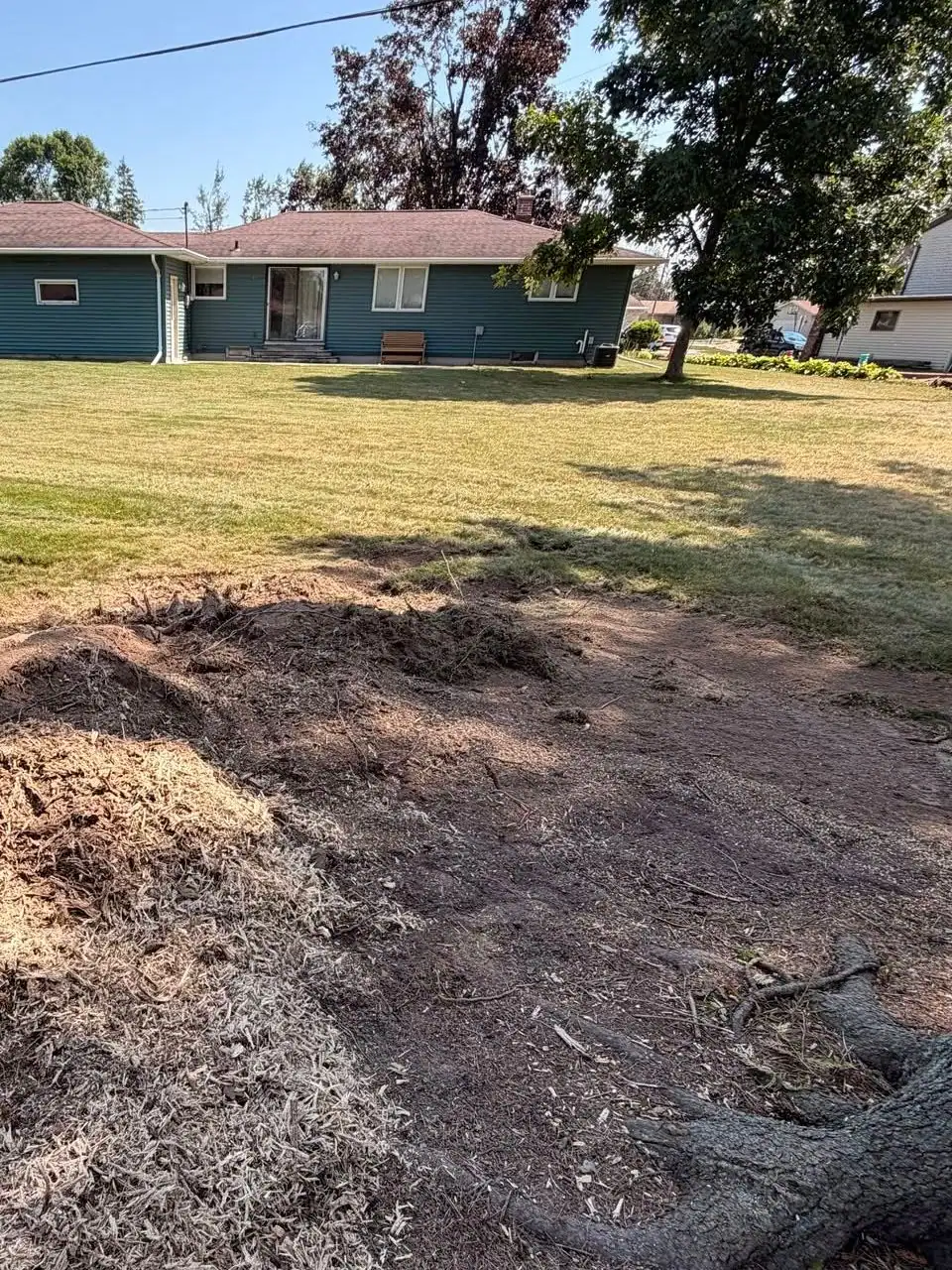 After: the stump is ground out and wood chips cover the spot where it stood.