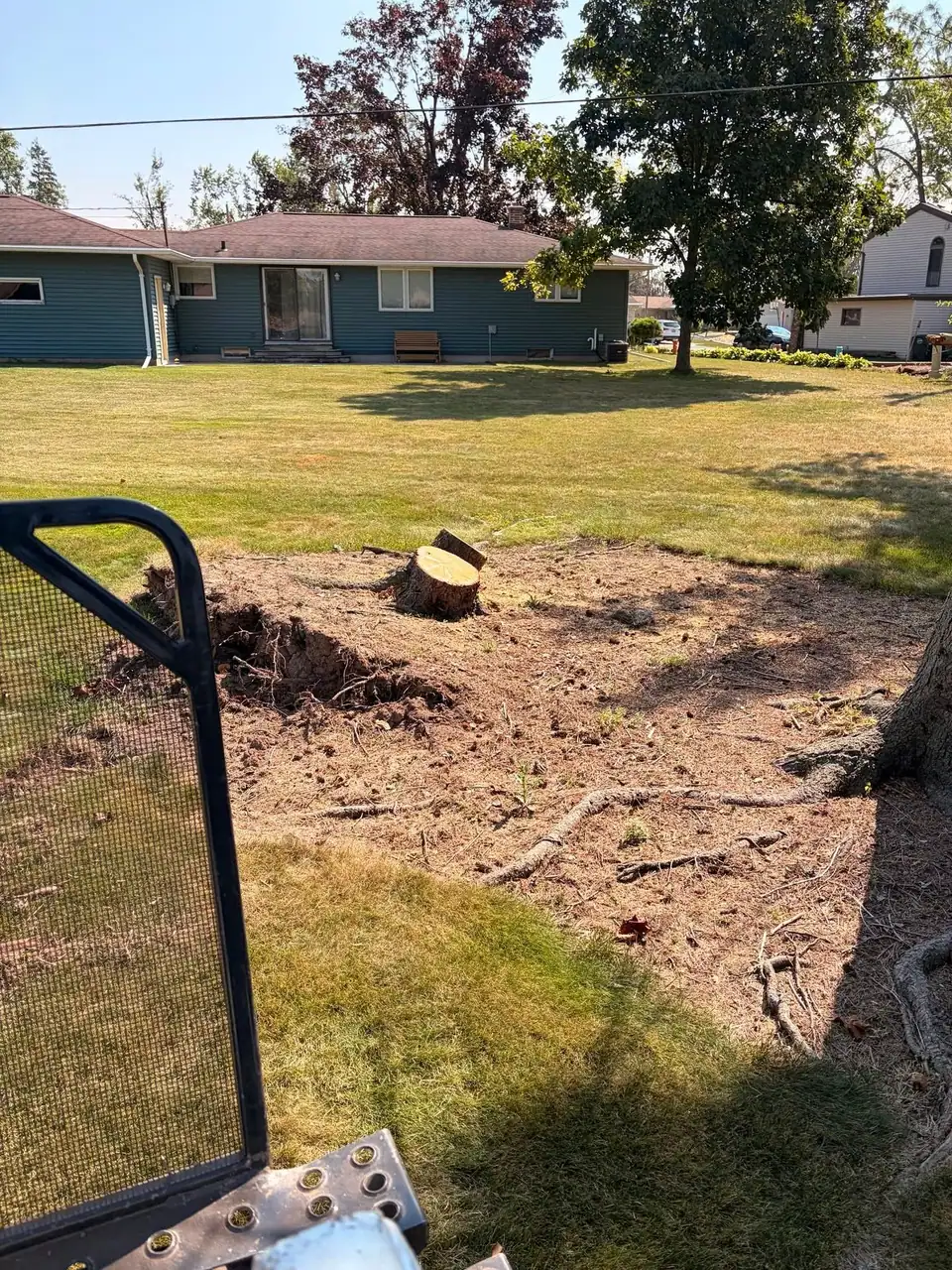 Before: a cut stump and surface roots in a back yard, seen from the loader seat.