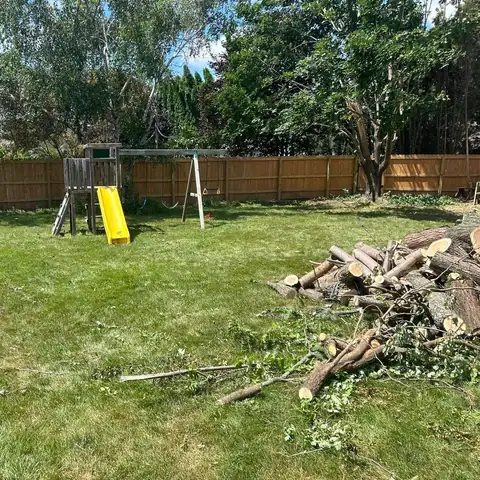 Cut logs and brush piled in a back yard during cleanup