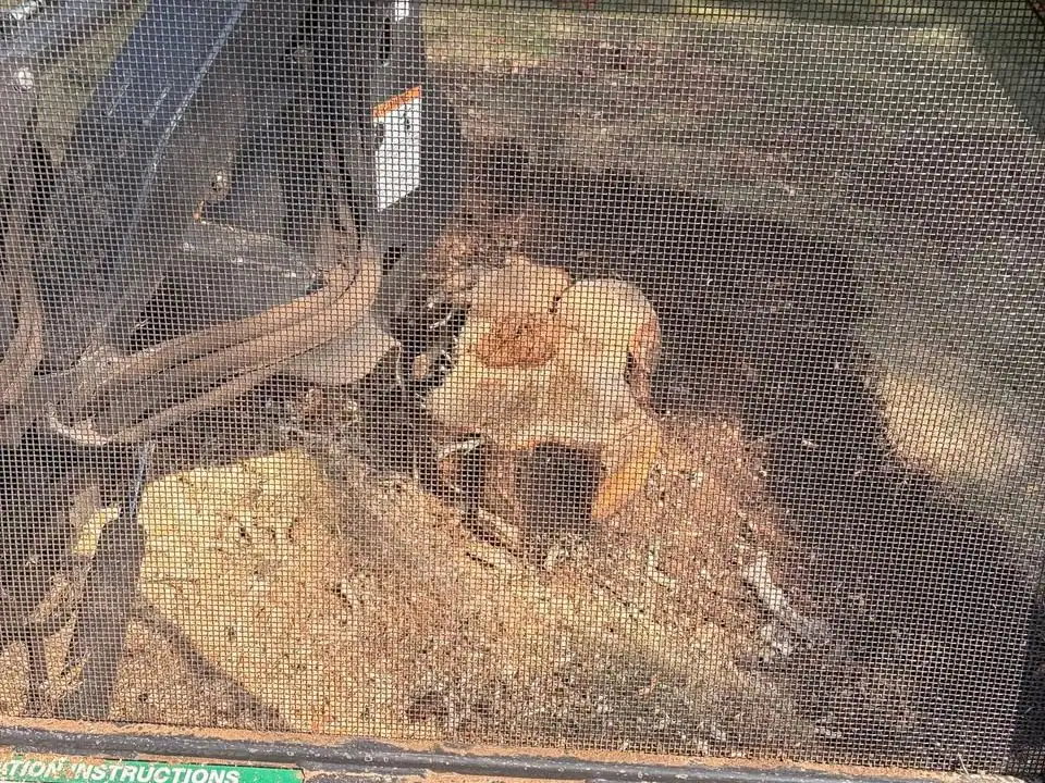 A stump being ground down, seen through the guard of the grinder attachment