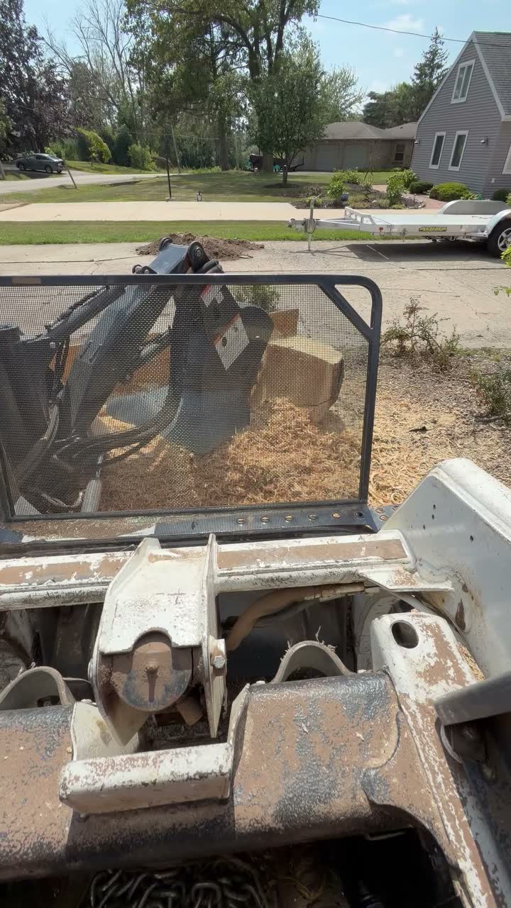 The grinder attachment cutting into a stump near the street, seen from the loader seat